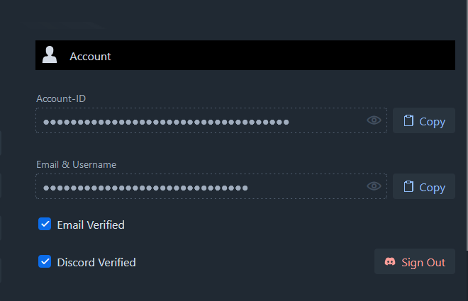 View of a linked Discord account